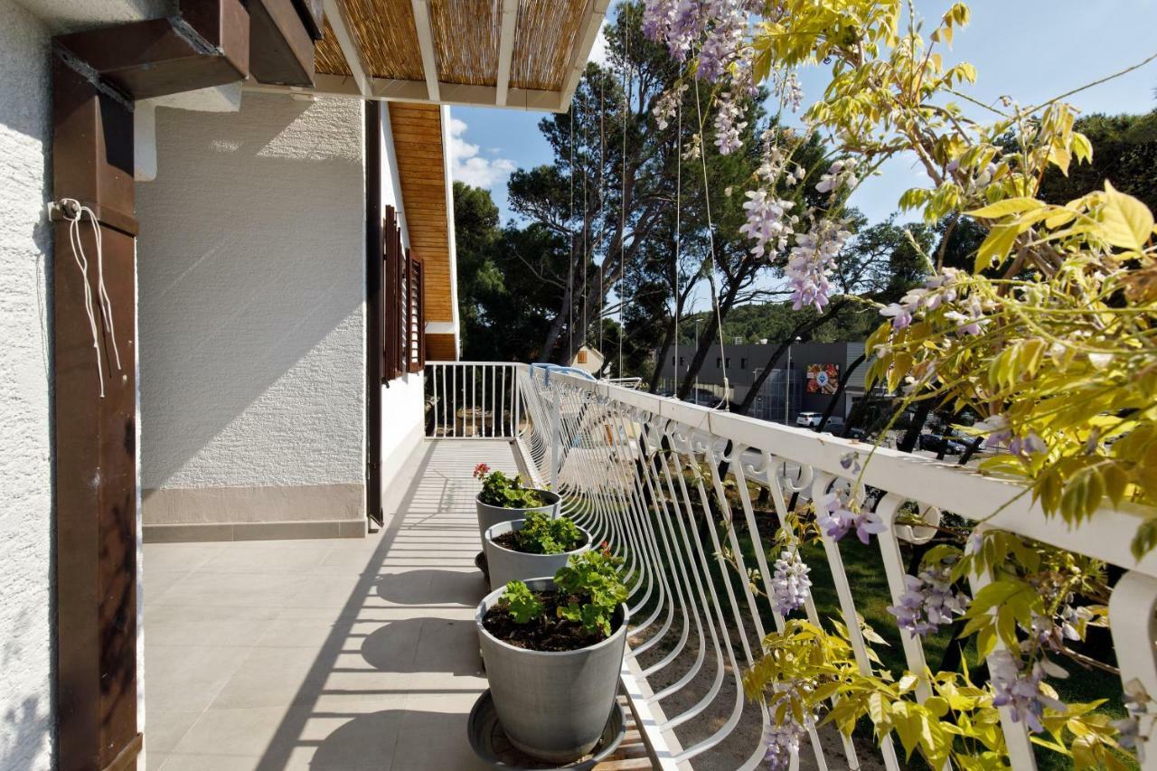 Appartement & Nugal